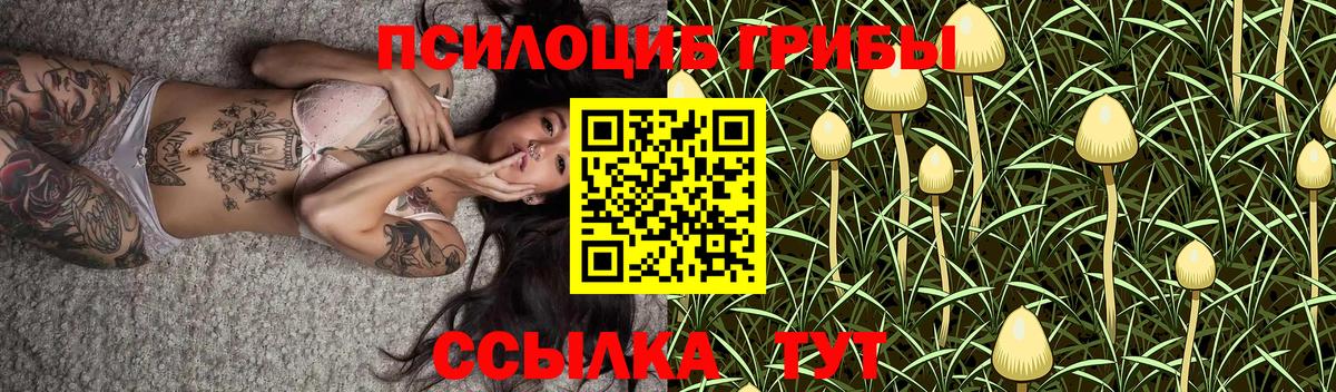 Осинники  Галлюциногенные грибы Magic Shrooms  Вход с VPN  Галлюциногенные грибы мухоморы 