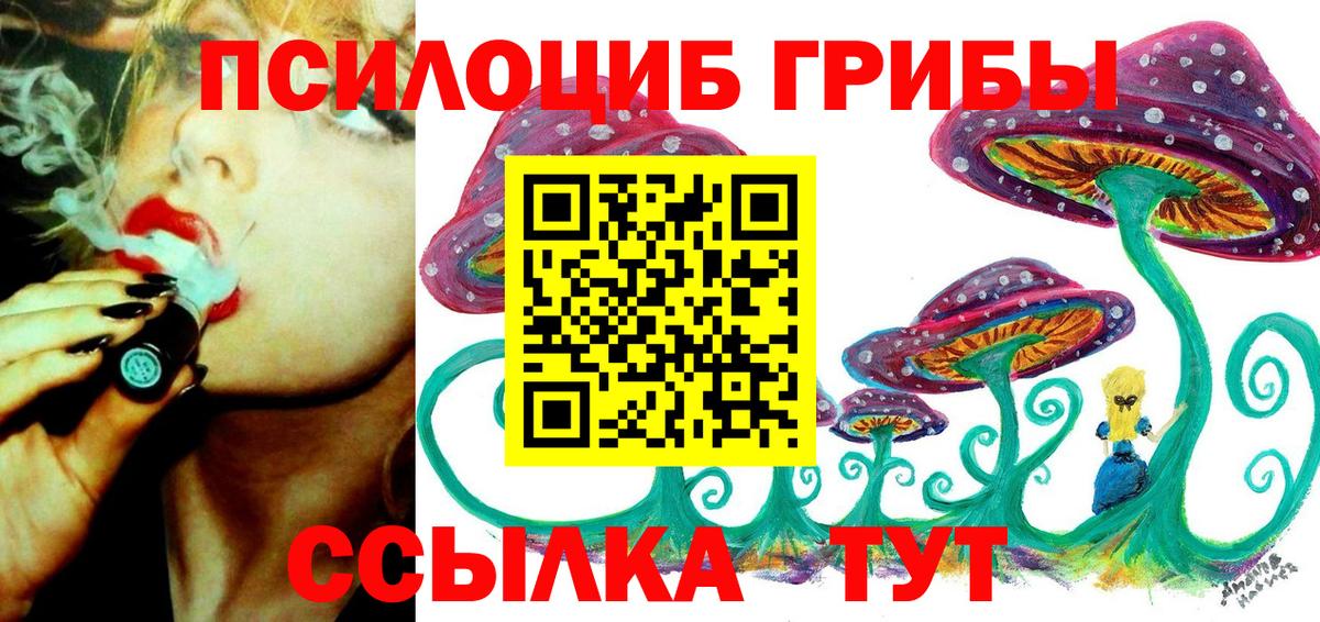 Псилоцибиновые грибы GOLDEN TEACHER Осинники